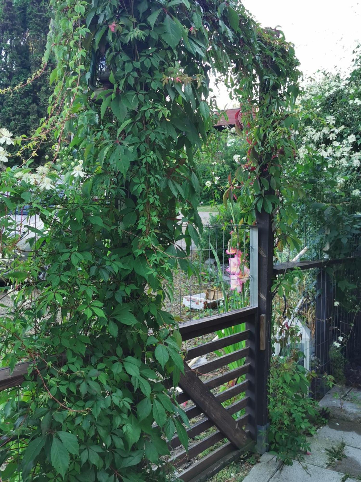 Guesthouse With Sauna Lahti Ngoại thất bức ảnh
